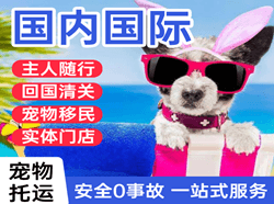 扎兰屯国际宠物托运 【国